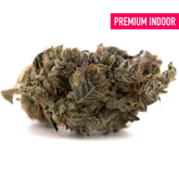 Dense purple and green Gary Payton indoor THCa flower bud with trichomes